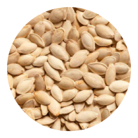pumpkin-seeds